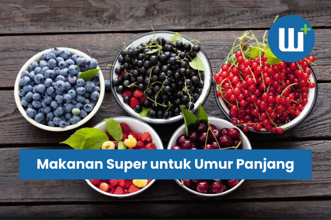 Makanan Super untuk Umur Panjang: Membangun Fondasi Kesehatan yang Berkelanjutan